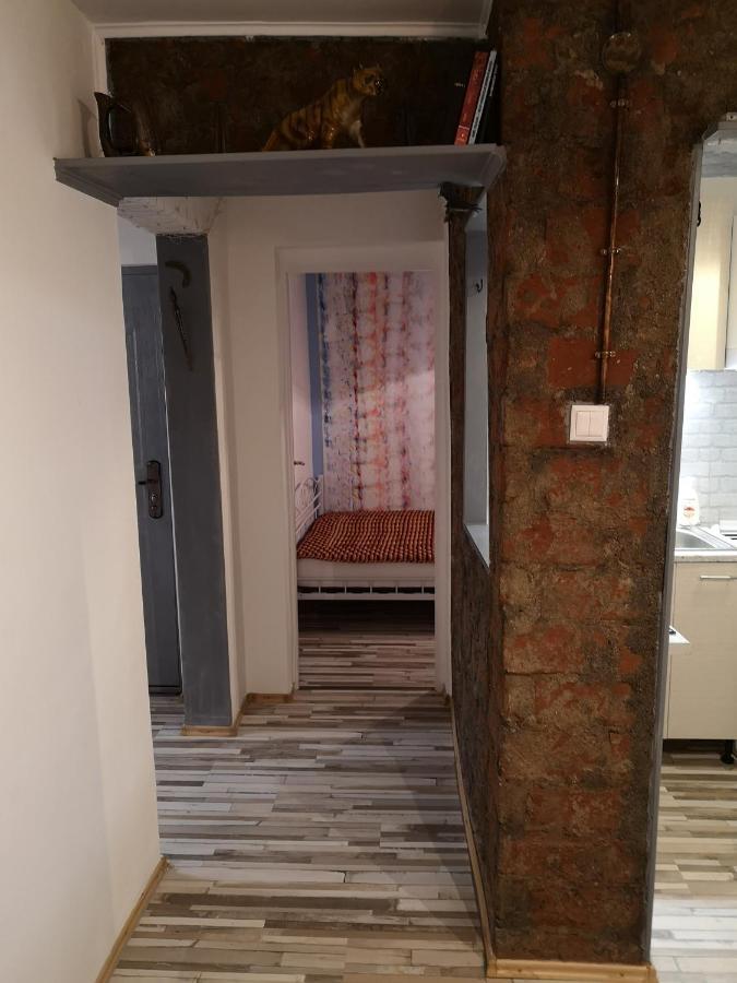 Апартаменты Little Modern Folk Apt Вэлени-де-Мунте Экстерьер фото