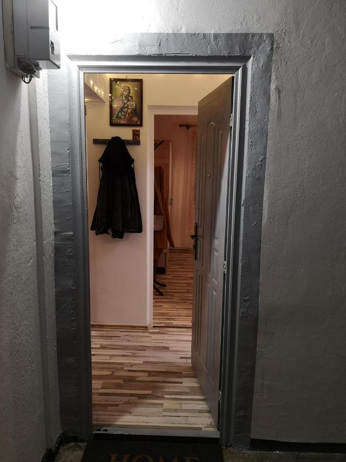 Апартаменты Little Modern Folk Apt Вэлени-де-Мунте Экстерьер фото